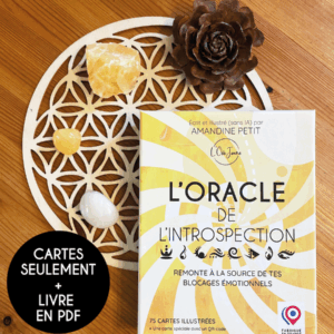Coffret Livre numérique - L'Oracle de l'Introspection