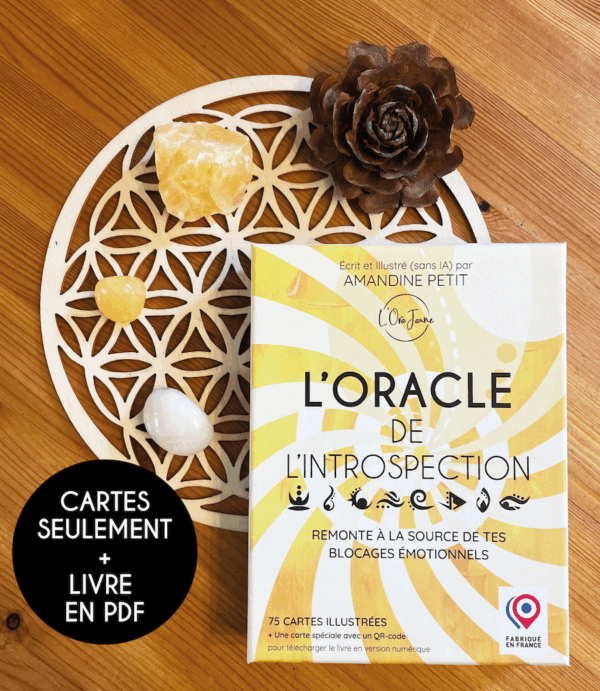 Coffret Livre numérique - L'Oracle de l'Introspection